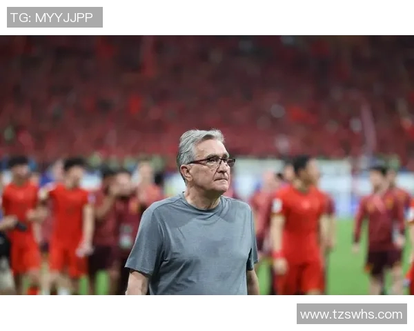 中国足球明星现状分析及未来发展趋势探讨